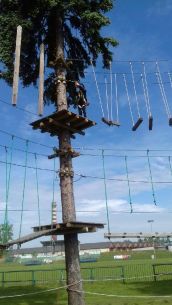 Obchody Dnia Dziecka