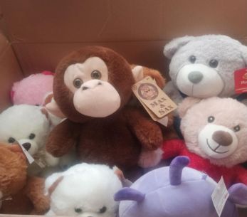 Podsumowanie akcji " Podaruj Misia"🧸